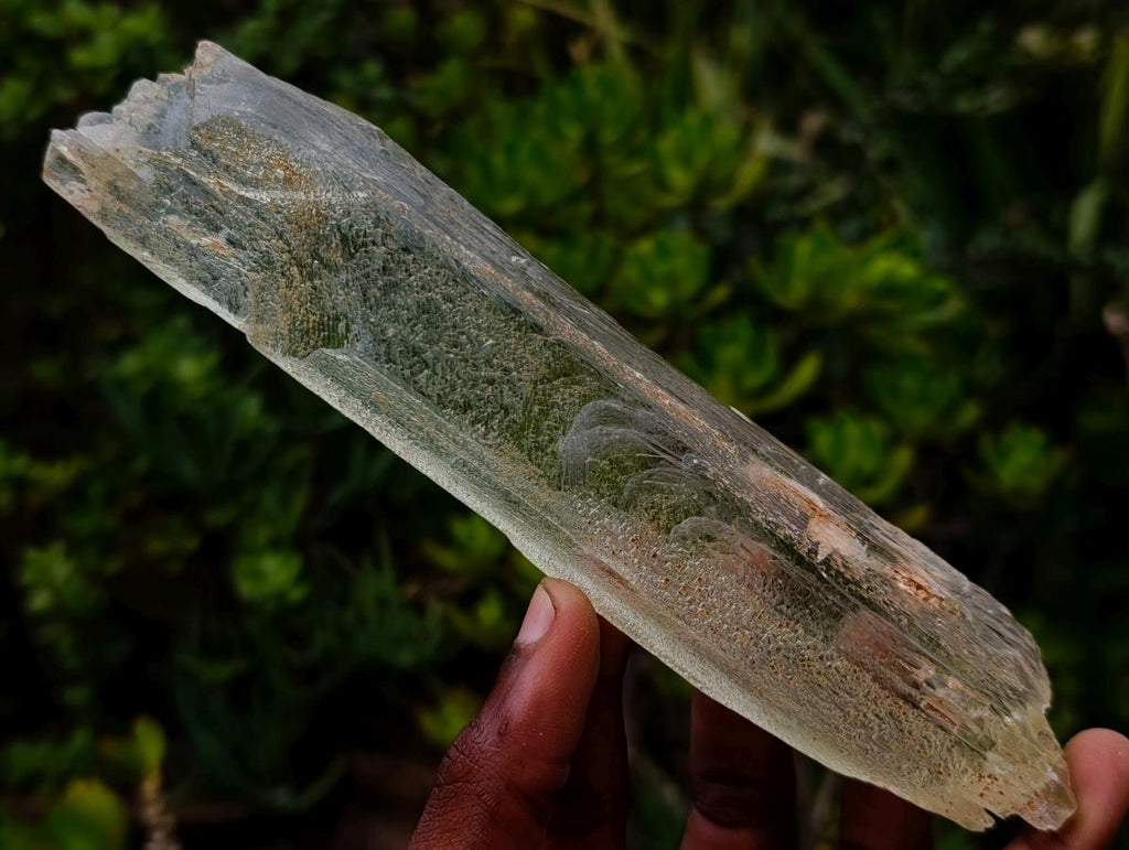 Natural 18.6 cm Yellow Triphane Yellow Spodumene Full Tabular Crystal x 1 From Kunar, Afghanistan