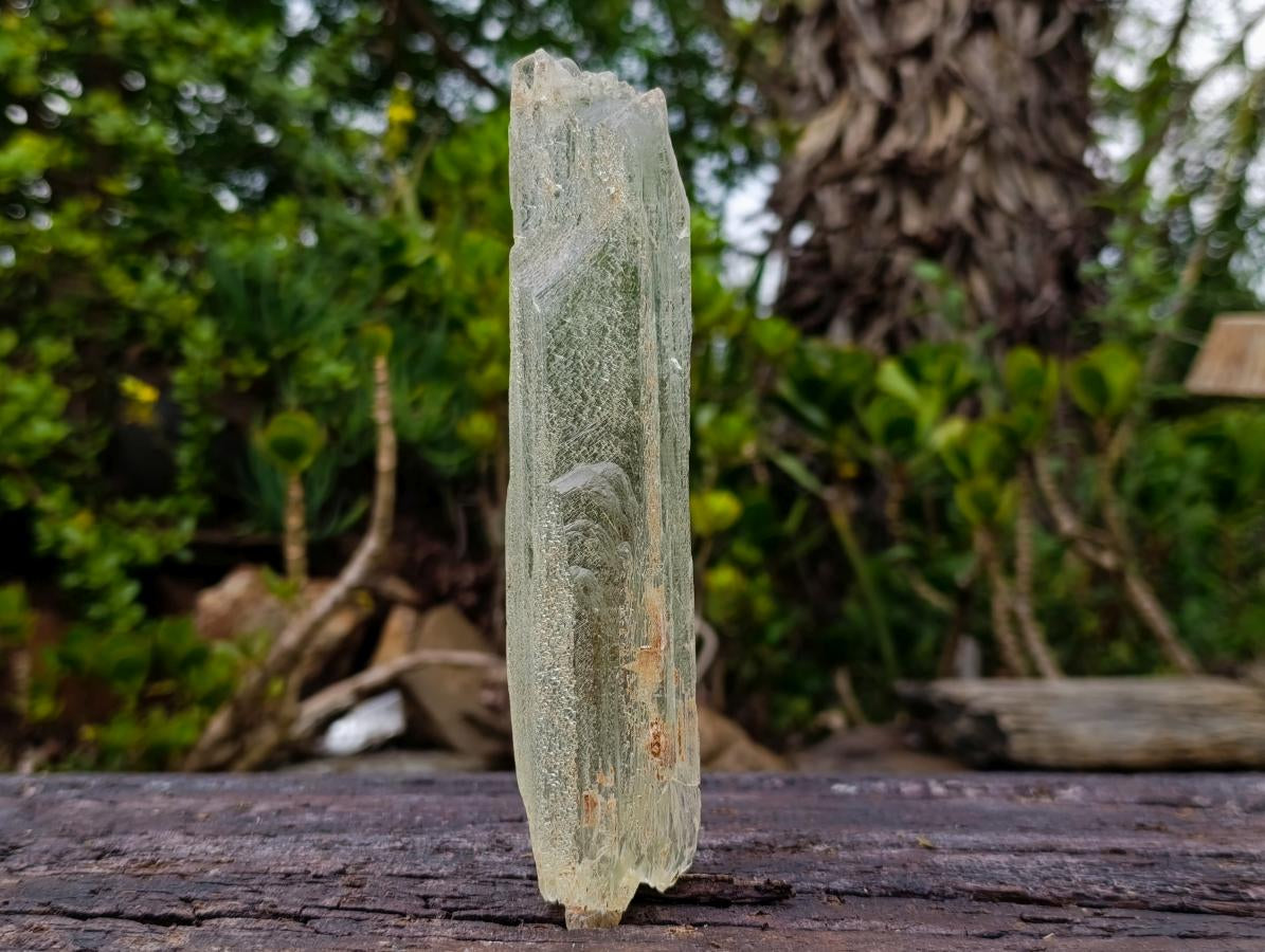Natural 18.6 cm Yellow Triphane Yellow Spodumene Full Tabular Crystal x 1 From Kunar, Afghanistan