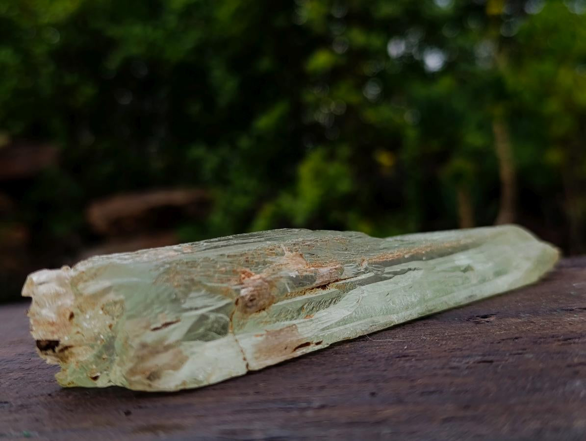 Natural 18.6 cm Yellow Triphane Yellow Spodumene Full Tabular Crystal x 1 From Kunar, Afghanistan