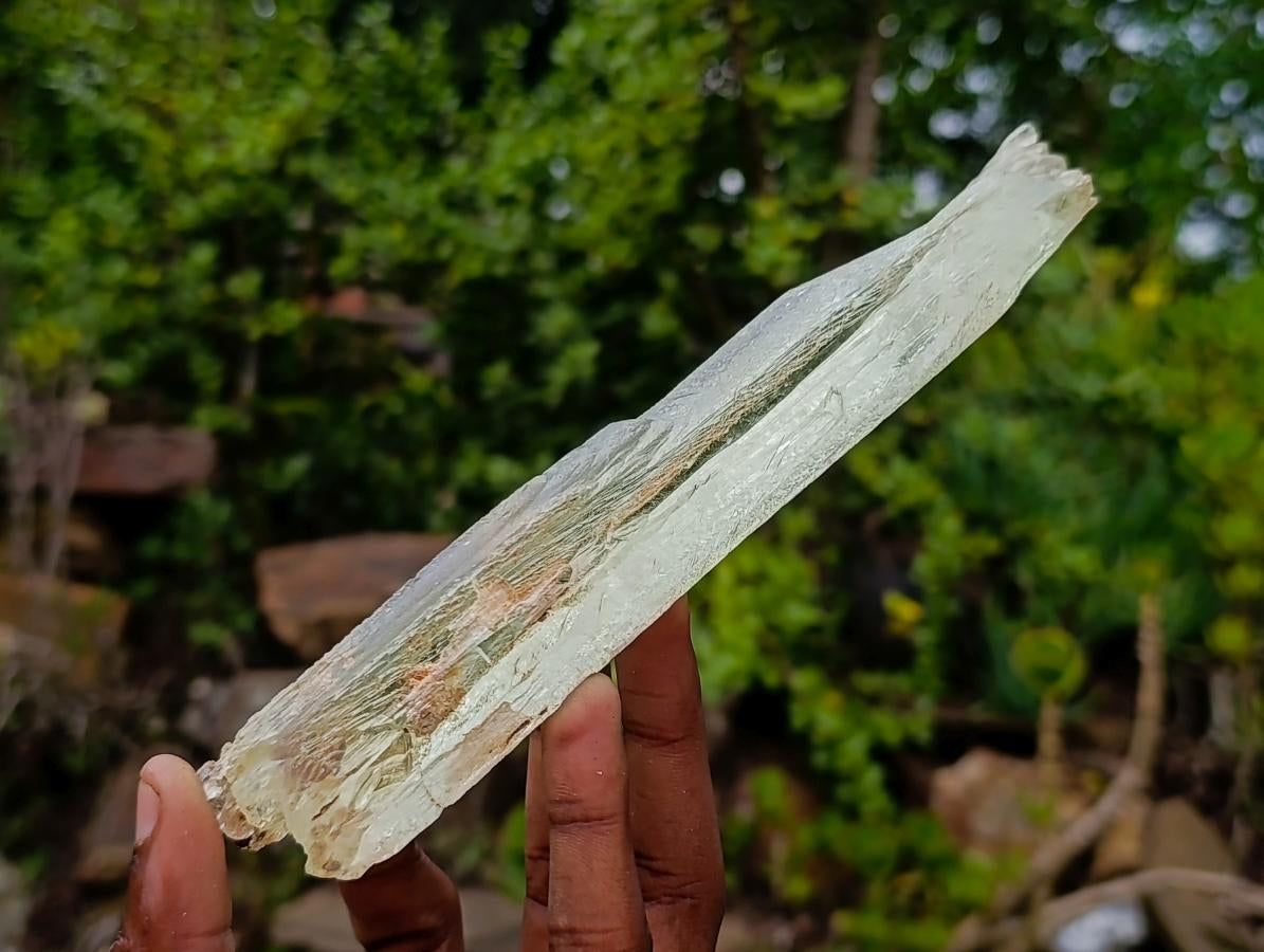Natural 18.6 cm Yellow Triphane Yellow Spodumene Full Tabular Crystal x 1 From Kunar, Afghanistan