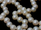 Hand Made Timeless Akoya Pearl Necklace x 1 From Okaya, Japan