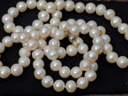 Hand Made Timeless Akoya Pearl Necklace x 1 From Okaya, Japan