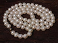 Hand Made Timeless Akoya Pearl Necklace x 1 From Okaya, Japan