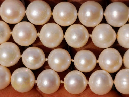 Hand Made Timeless Akoya Pearl Necklace x 1 From Okaya, Japan
