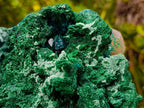 Natural Superb Dioptase and Fibrous Malachite Specimen with Dog Tooth Calcite Crystals x 1 From Mashamba East, Congo