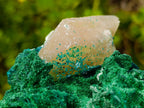 Natural Superb Dioptase and Fibrous Malachite Specimen with Dog Tooth Calcite Crystals x 1 From Mashamba East, Congo