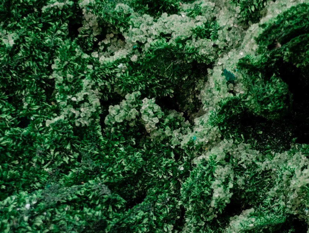 Natural Superb Dioptase and Fibrous Malachite Specimen with Dog Tooth Calcite Crystals x 1 From Mashamba East, Congo