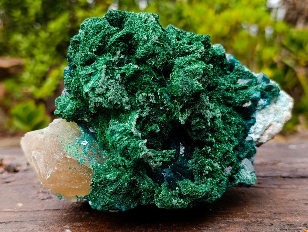 Natural Superb Dioptase and Fibrous Malachite Specimen with Dog Tooth Calcite Crystals x 1 From Mashamba East, Congo