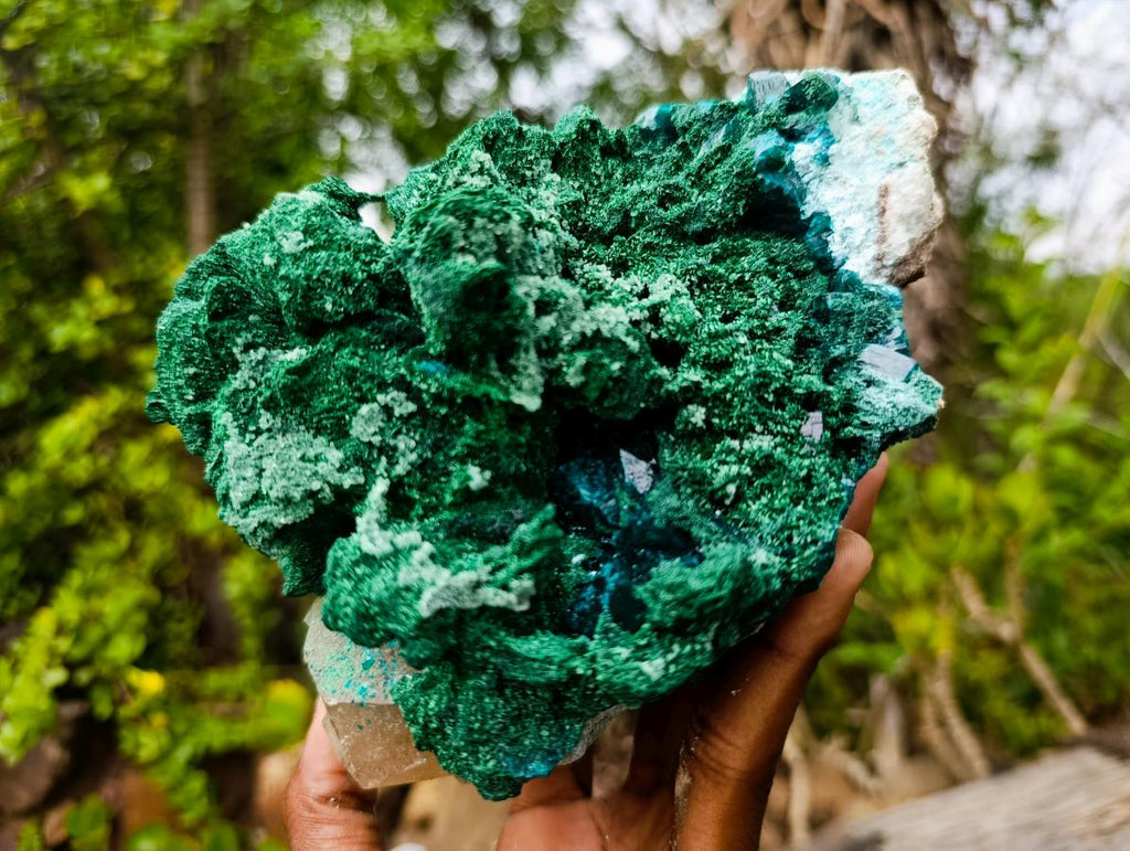 Natural Superb Dioptase and Fibrous Malachite Specimen with Dog Tooth Calcite Crystals x 1 From Mashamba East, Congo