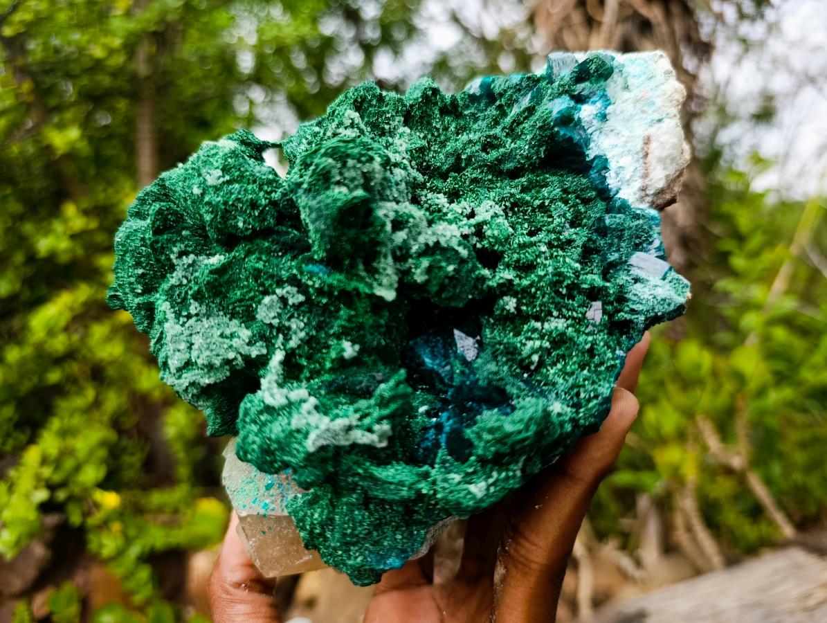 Natural Superb Dioptase and Fibrous Malachite Specimen with Dog Tooth Calcite Crystals x 1 From Mashamba East, Congo