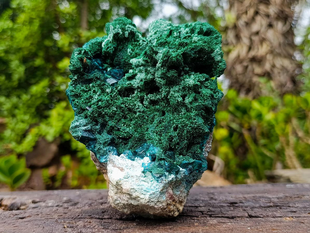 Natural Superb Dioptase and Fibrous Malachite Specimen with Dog Tooth Calcite Crystals x 1 From Mashamba East, Congo