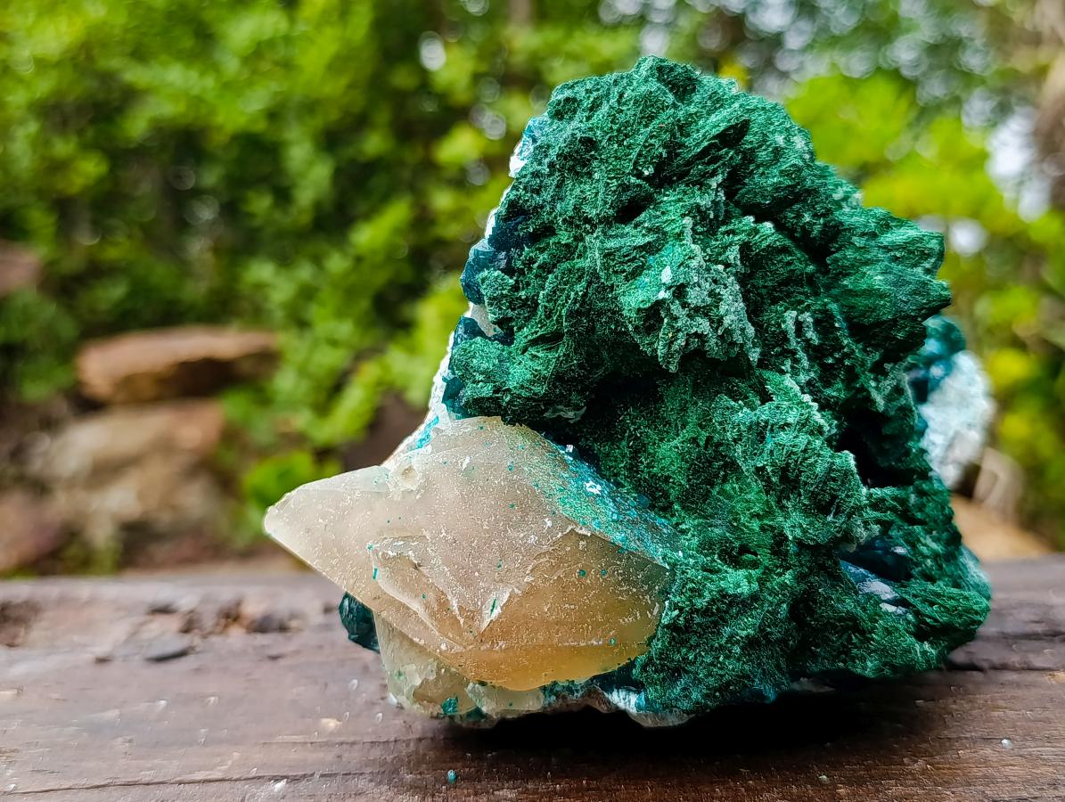 Natural Superb Dioptase and Fibrous Malachite Specimen with Dog Tooth Calcite Crystals x 1 From Mashamba East, Congo