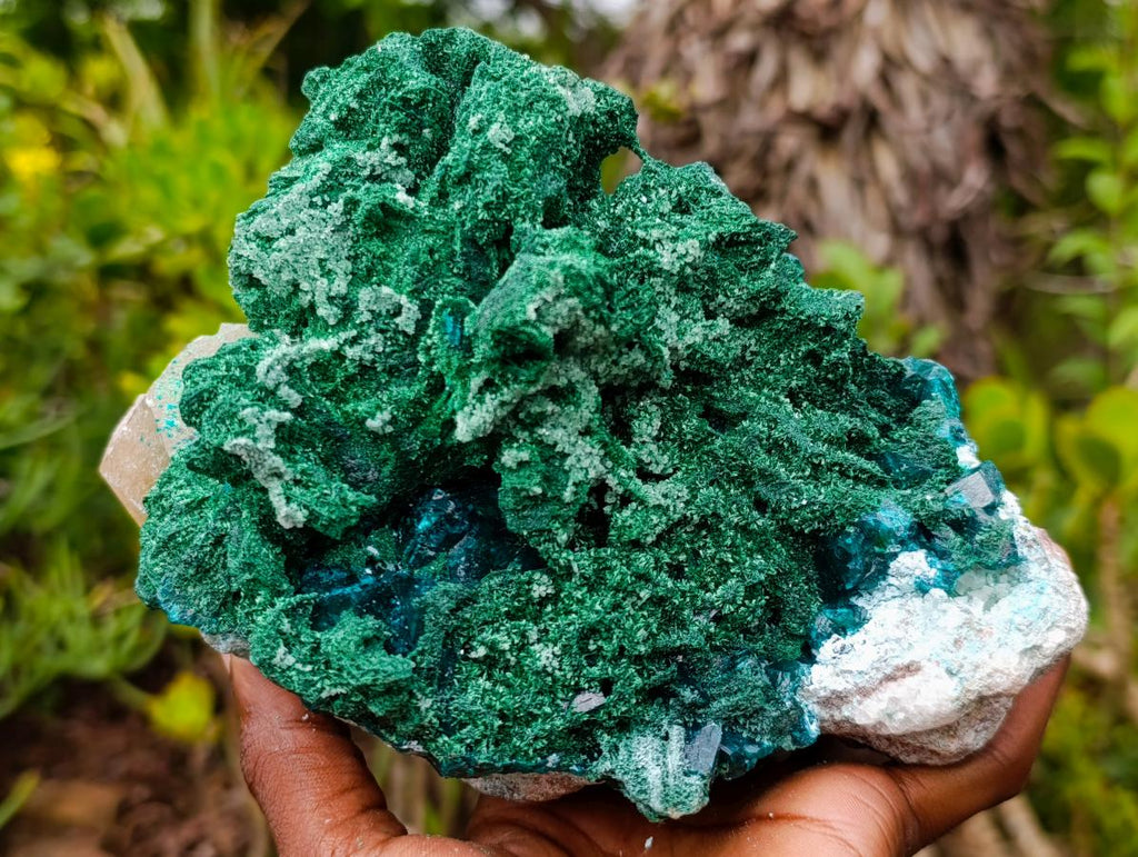 Natural Superb Dioptase and Fibrous Malachite Specimen with Dog Tooth Calcite Crystals x 1 From Mashamba East, Congo