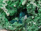 Natural Superb Dioptase and Fibrous Malachite Specimen with Dog Tooth Calcite Crystals x 1 From Mashamba East, Congo