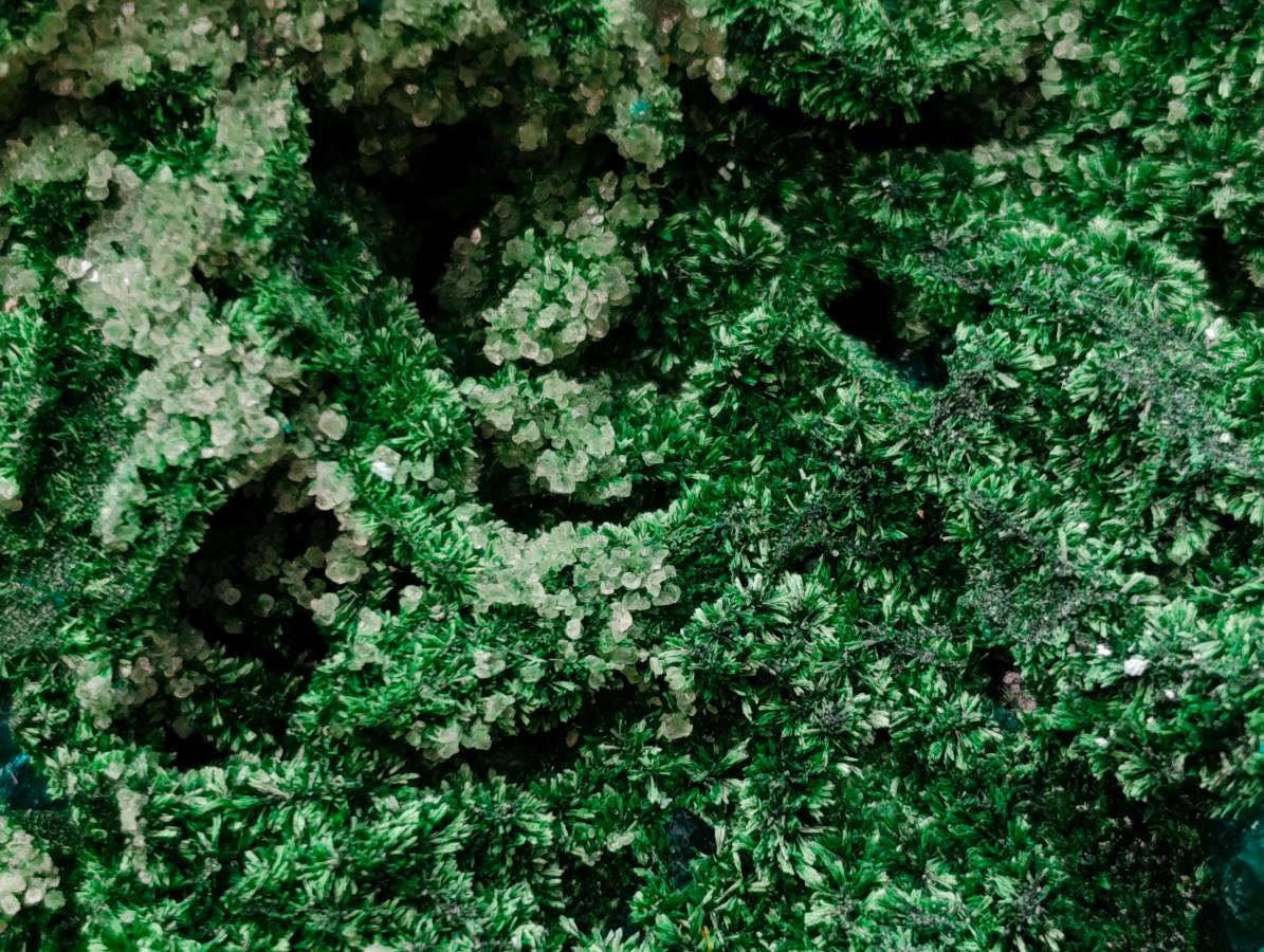 Natural Superb Dioptase and Fibrous Malachite Specimen with Dog Tooth Calcite Crystals x 1 From Mashamba East, Congo