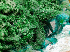 Natural Superb Dioptase and Fibrous Malachite Specimen with Dog Tooth Calcite Crystals x 1 From Mashamba East, Congo