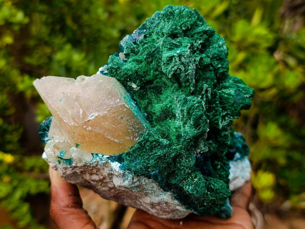 Natural Superb Dioptase and Fibrous Malachite Specimen with Dog Tooth Calcite Crystals x 1 From Mashamba East, Congo