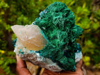 Natural Superb Dioptase and Fibrous Malachite Specimen with Dog Tooth Calcite Crystals x 1 From Mashamba East, Congo