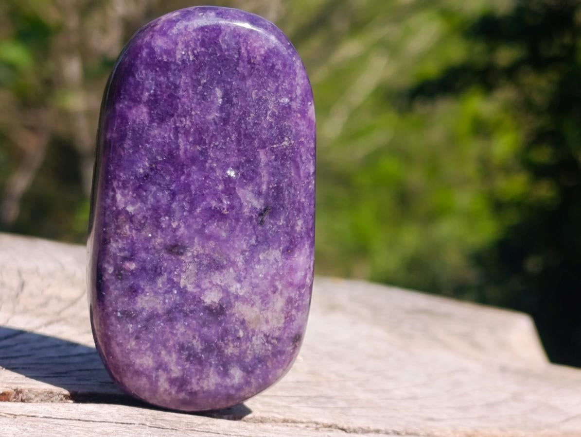 Polished Pair of Purple Lepidolite Palm Stones x 1 From Zimbabwe