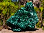 Natural Rosette and Fan Silky Malachite Specimen x 1 From Kasompe, Congo