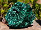 Natural Rosette and Fan Silky Malachite Specimen x 1 From Kasompe, Congo