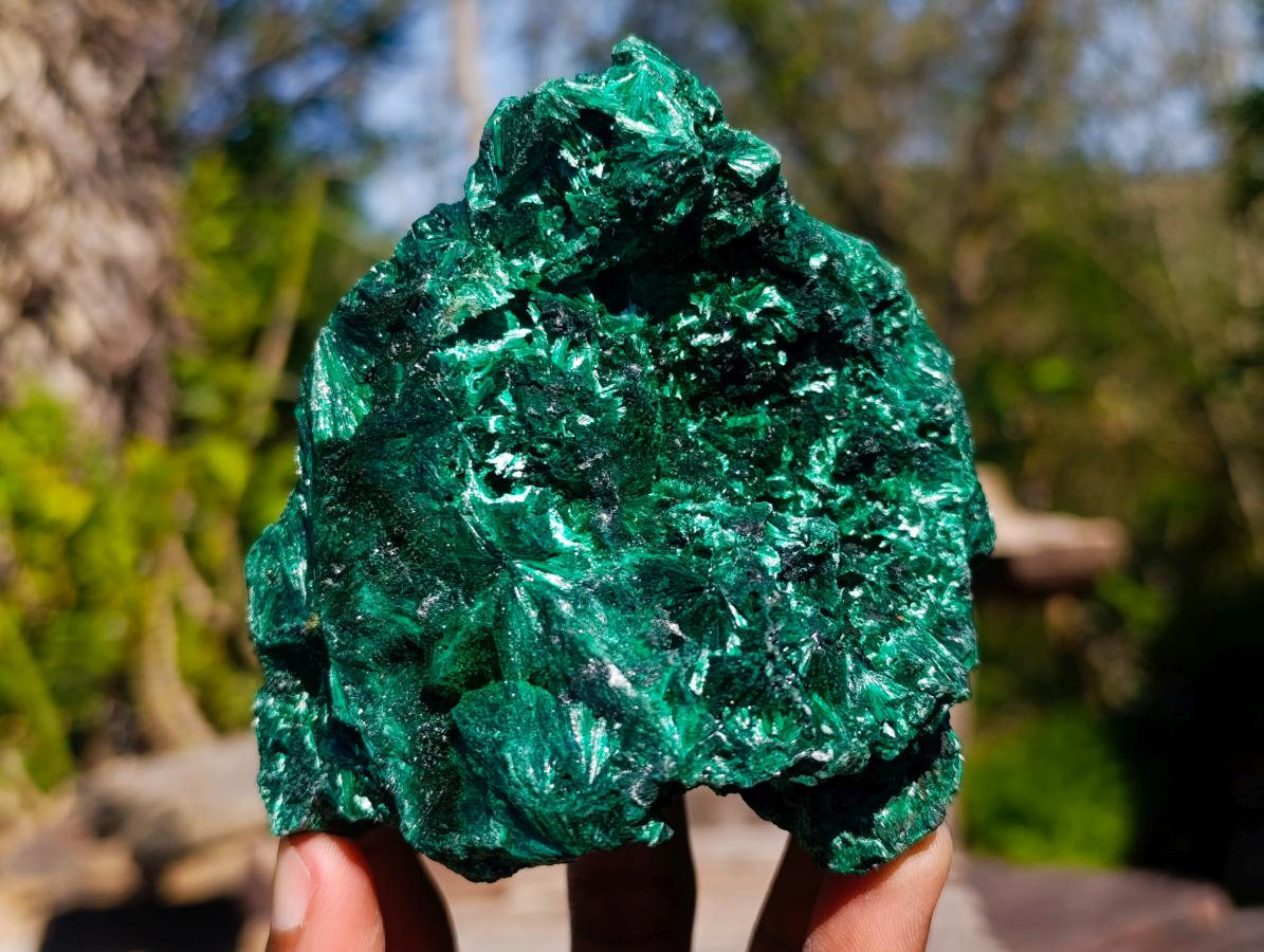 Natural Rosette and Fan Silky Malachite Specimen x 1 From Kasompe, Congo