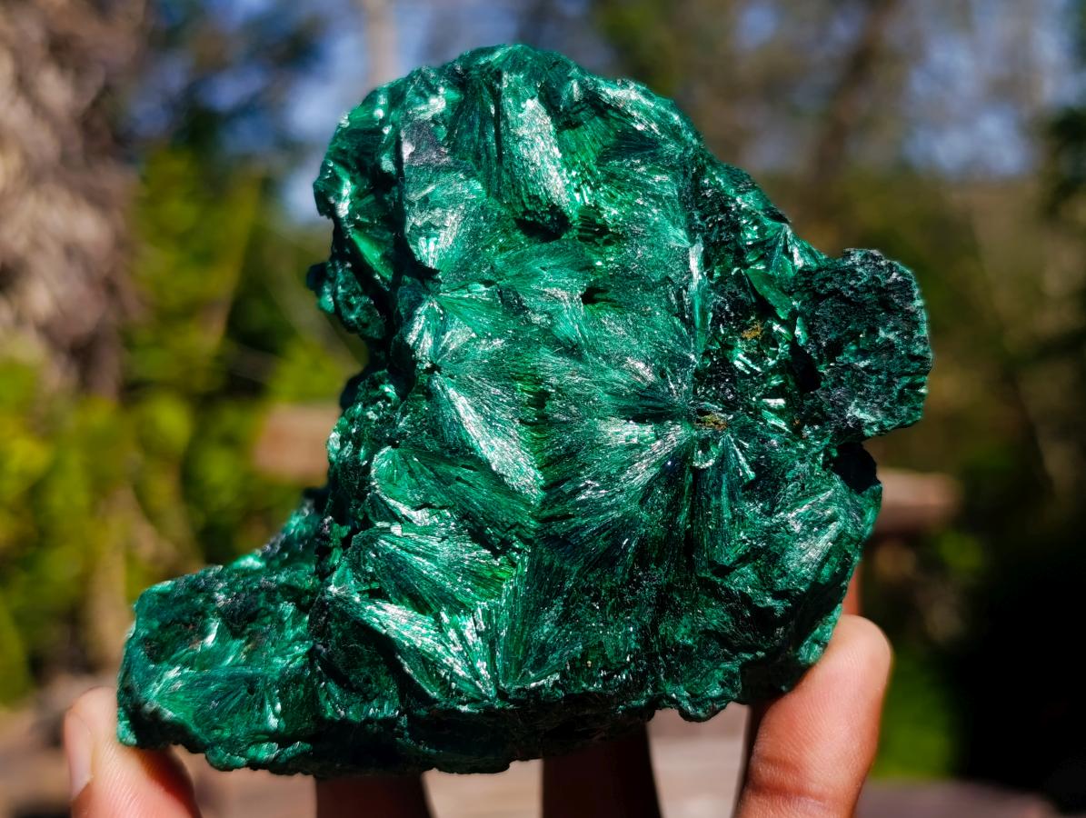 Natural Rosette and Fan Silky Malachite Specimen x 1 From Kasompe, Congo