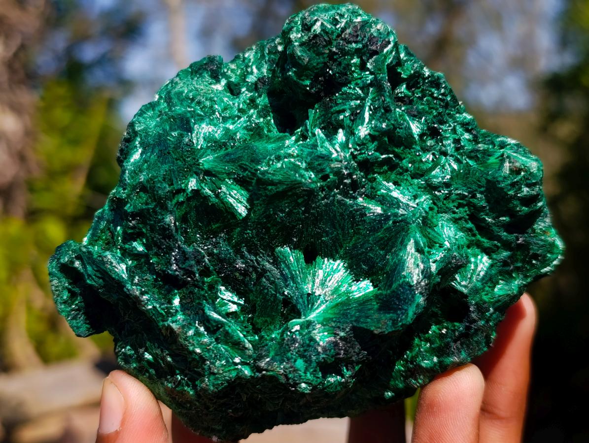 Natural Rosette and Fan Silky Malachite Specimen x 1 From Kasompe, Congo