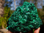 Natural Rosette and Fan Silky Malachite Specimen x 1 From Kasompe, Congo