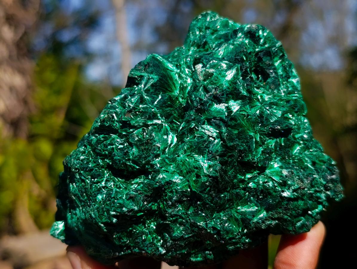 Natural Rosette and Fan Silky Malachite Specimen x 1 From Kasompe, Congo