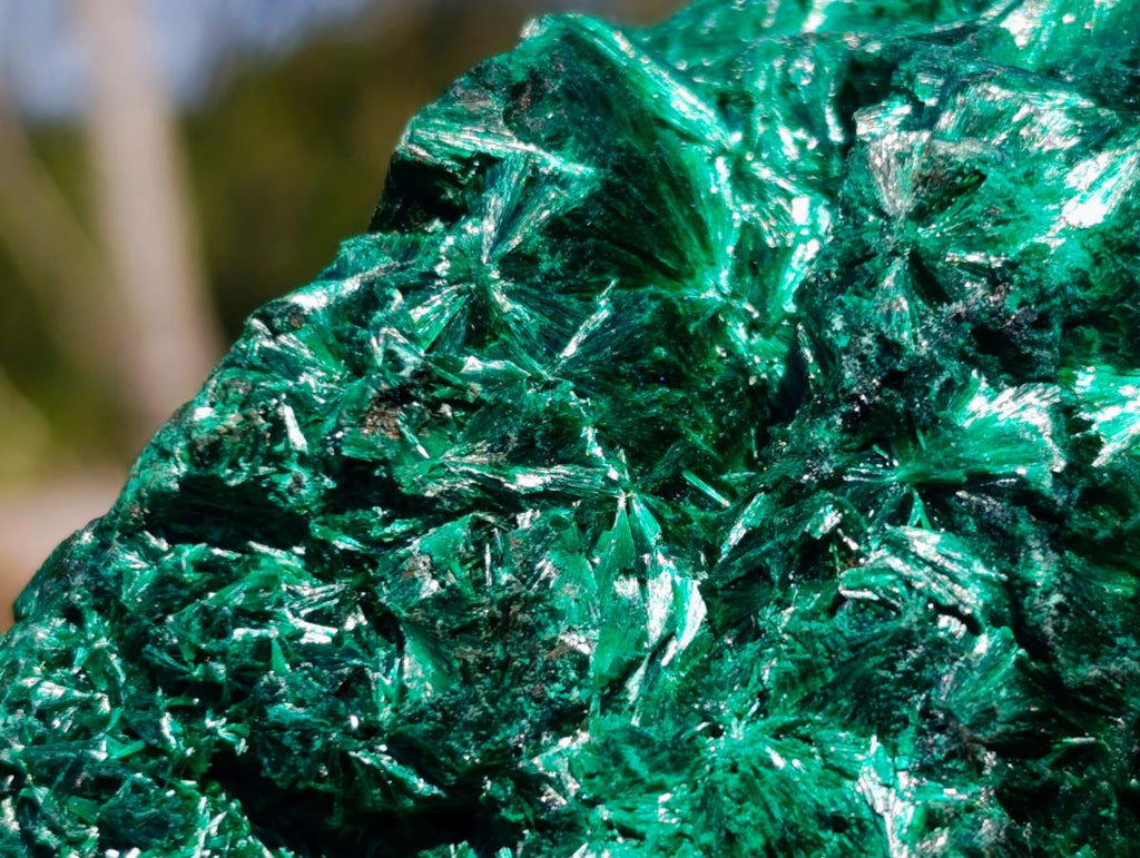 Natural Rosette and Fan Silky Malachite Specimen x 1 From Kasompe, Congo