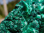 Natural Rosette and Fan Silky Malachite Specimen x 1 From Kasompe, Congo