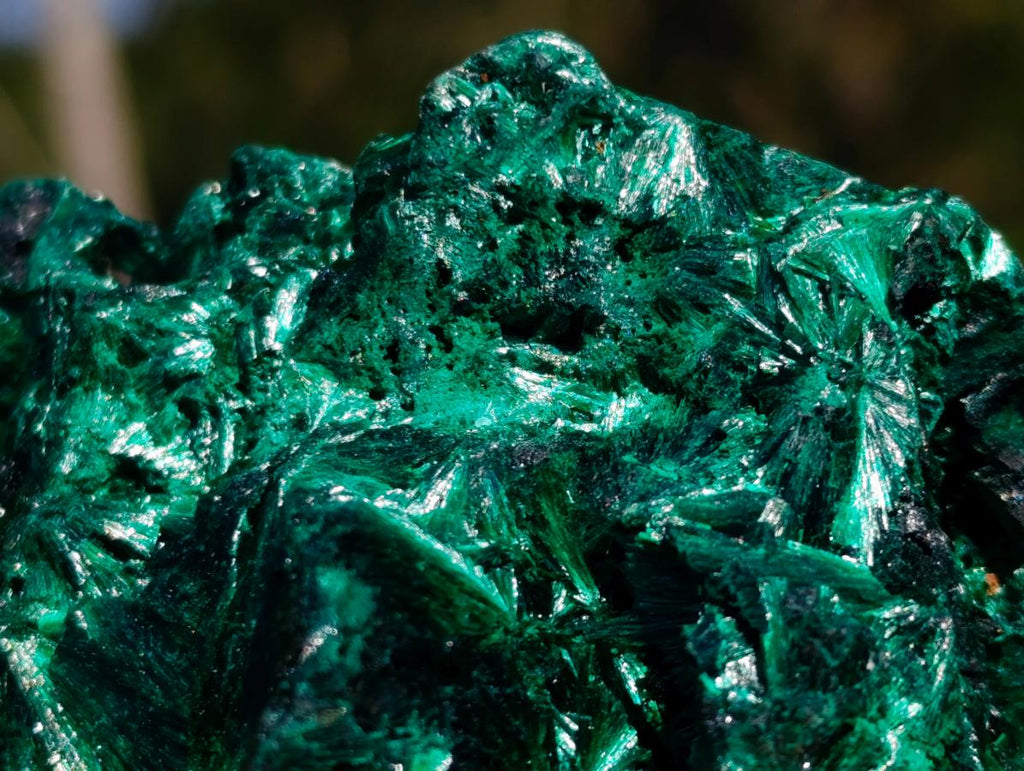 Natural Rosette and Fan Silky Malachite Specimen x 1 From Kasompe, Congo