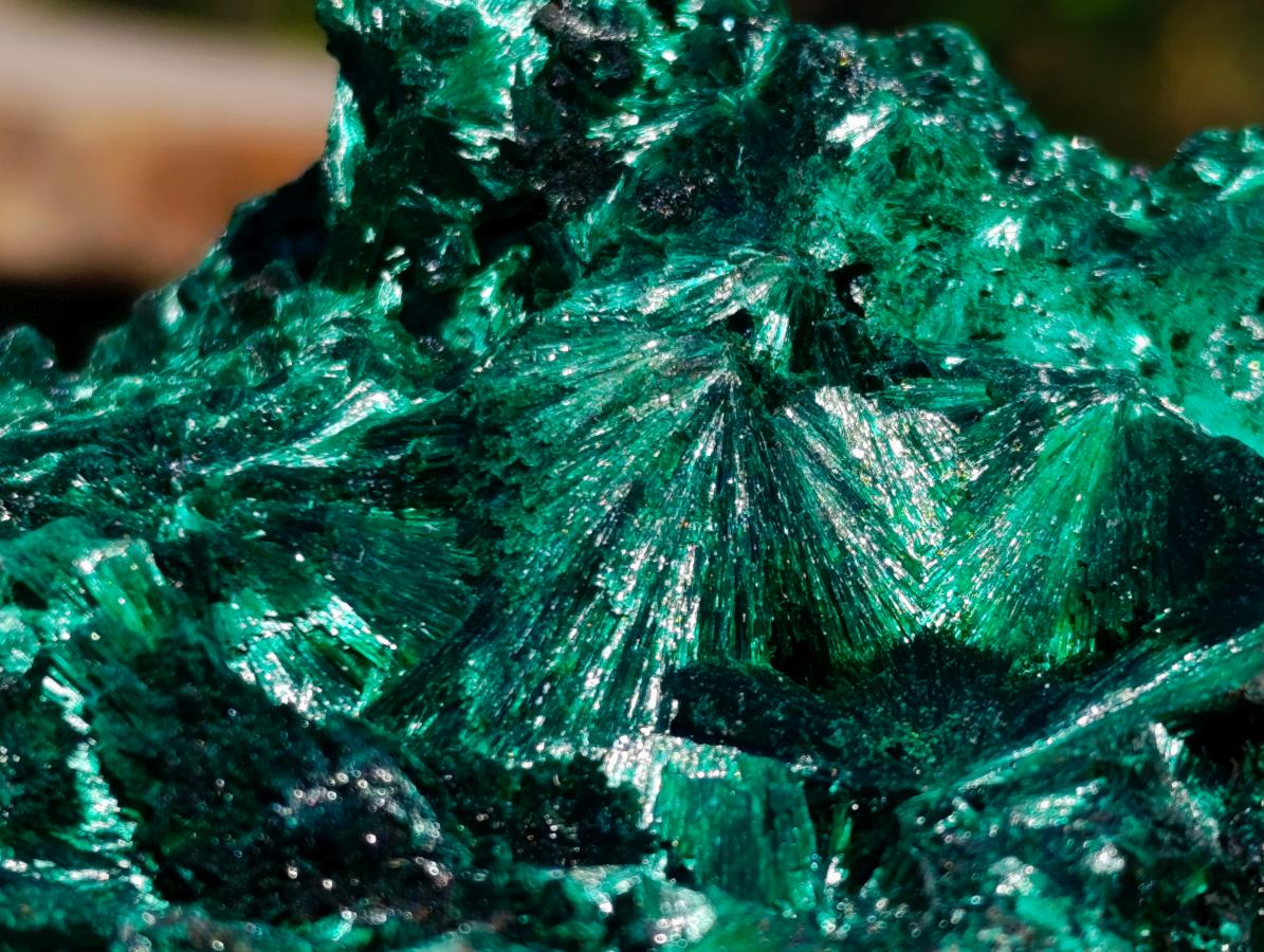 Natural Rosette and Fan Silky Malachite Specimen x 1 From Kasompe, Congo