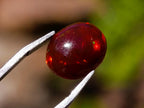Polished Set of 3 Red Ethiopian Fire Opal Cabochons x 1 From Ethiopia