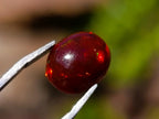 Polished Set of 3 Red Ethiopian Fire Opal Cabochons x 1 From Ethiopia