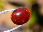 Polished Set of 3 Red Ethiopian Fire Opal Cabochons x 1 From Ethiopia