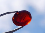 Polished Set of 3 Red Ethiopian Fire Opal Cabochons x 1 From Ethiopia