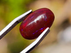 Polished Set of 3 Red Ethiopian Fire Opal Cabochons x 1 From Ethiopia