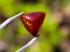 Polished Set of 3 Red Ethiopian Fire Opal Cabochons x 1 From Ethiopia