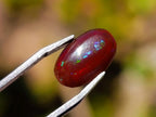 Polished Set of 3 Red Ethiopian Fire Opal Cabochons x 1 From Ethiopia