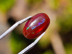 Polished Set of 3 Red Ethiopian Fire Opal Cabochons x 1 From Ethiopia