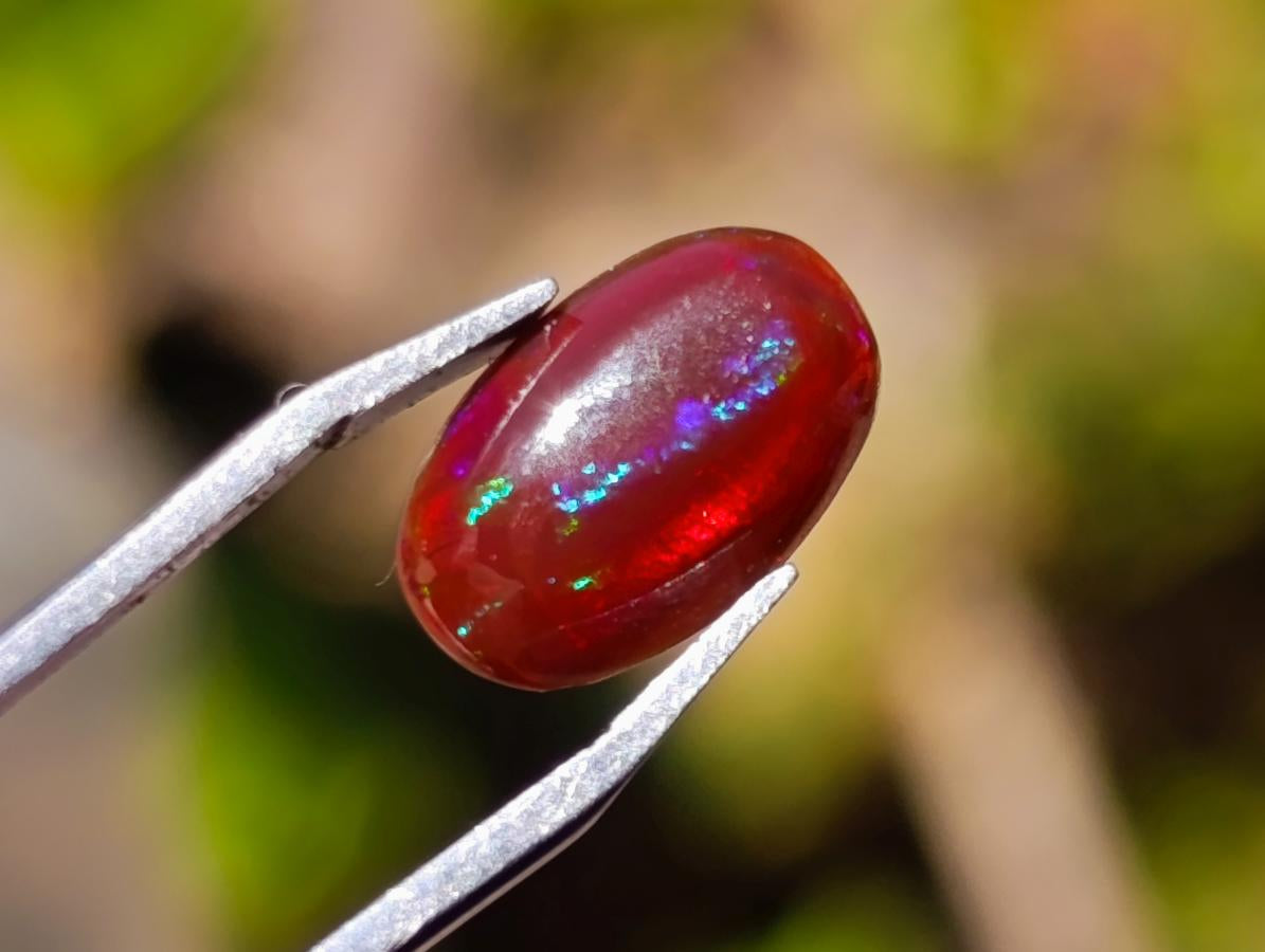 Polished Set of 3 Red Ethiopian Fire Opal Cabochons x 1 From Ethiopia