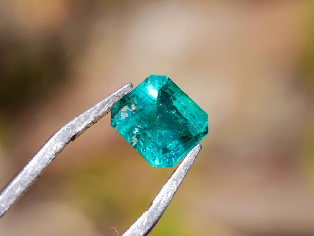 Polished Sandawana Emerald Faceted Stone x 1 From Sandawana, Zimbabwe