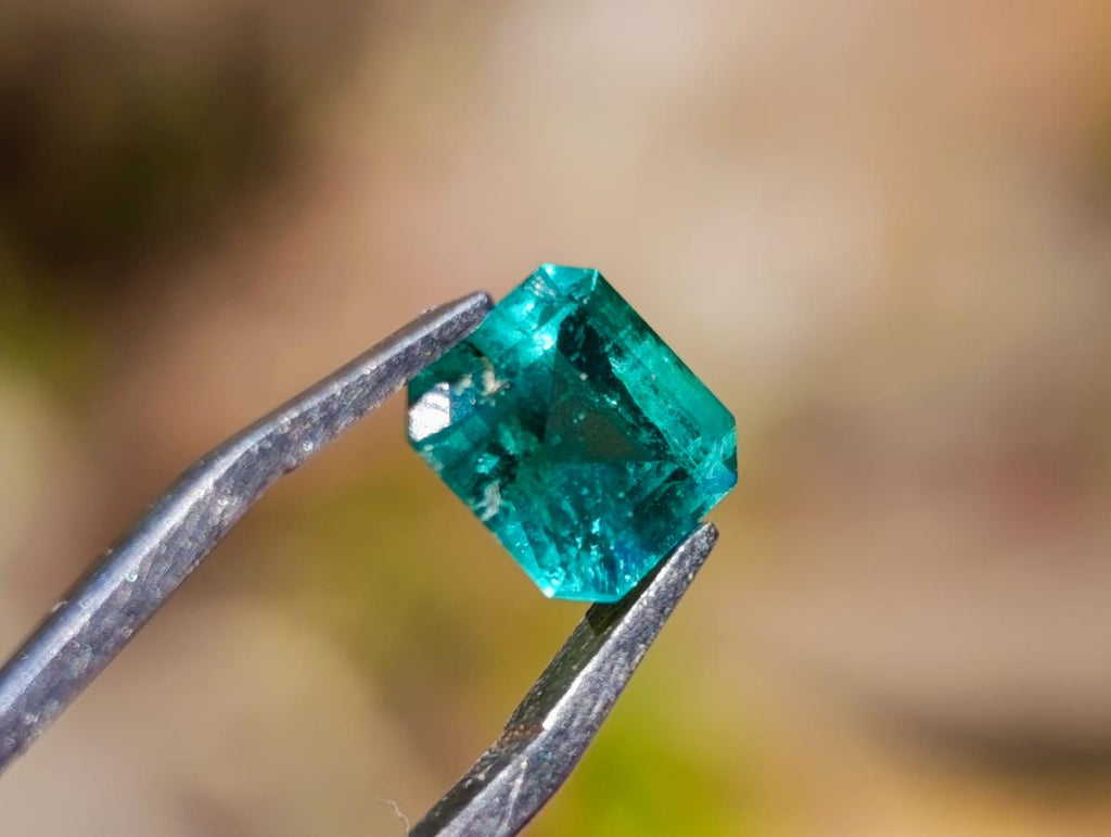 Polished Sandawana Emerald Faceted Stone x 1 From Sandawana, Zimbabwe