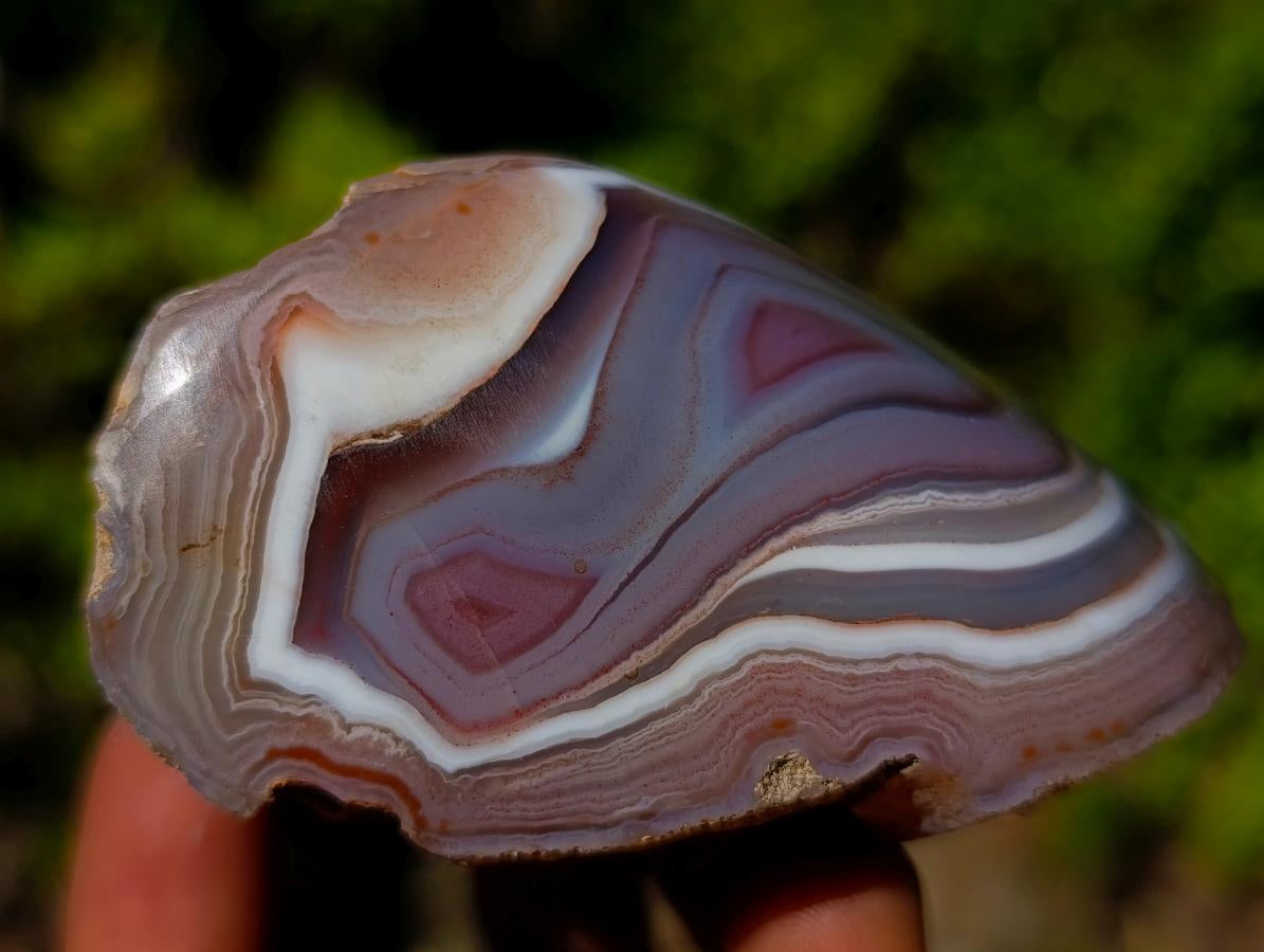 Polished One Side Shashe River "Eye" Agate x 1 From Shashe River, Zimbabwe