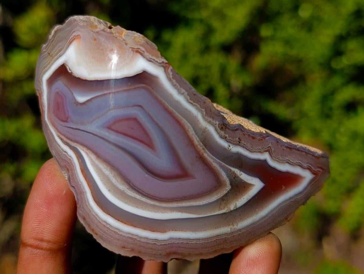 Polished One Side Shashe River "Eye" Agate x 1 From Shashe River, Zimbabwe