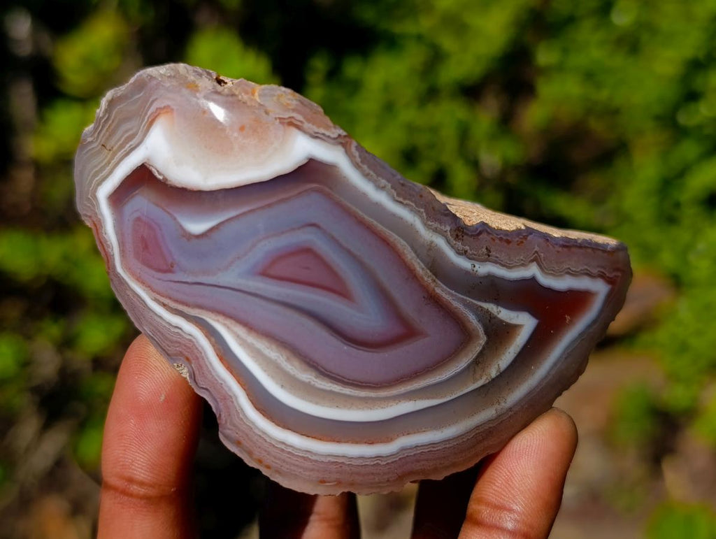 Polished One Side Shashe River "Eye" Agate x 1 From Shashe River, Zimbabwe