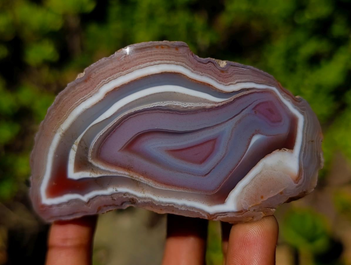 Polished One Side Shashe River "Eye" Agate x 1 From Shashe River, Zimbabwe