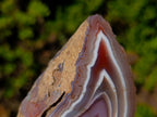 Polished One Side Shashe River "Eye" Agate x 1 From Shashe River, Zimbabwe